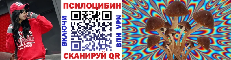 Галлюциногенные грибы мицелий  где найти наркотики  Биробиджан 