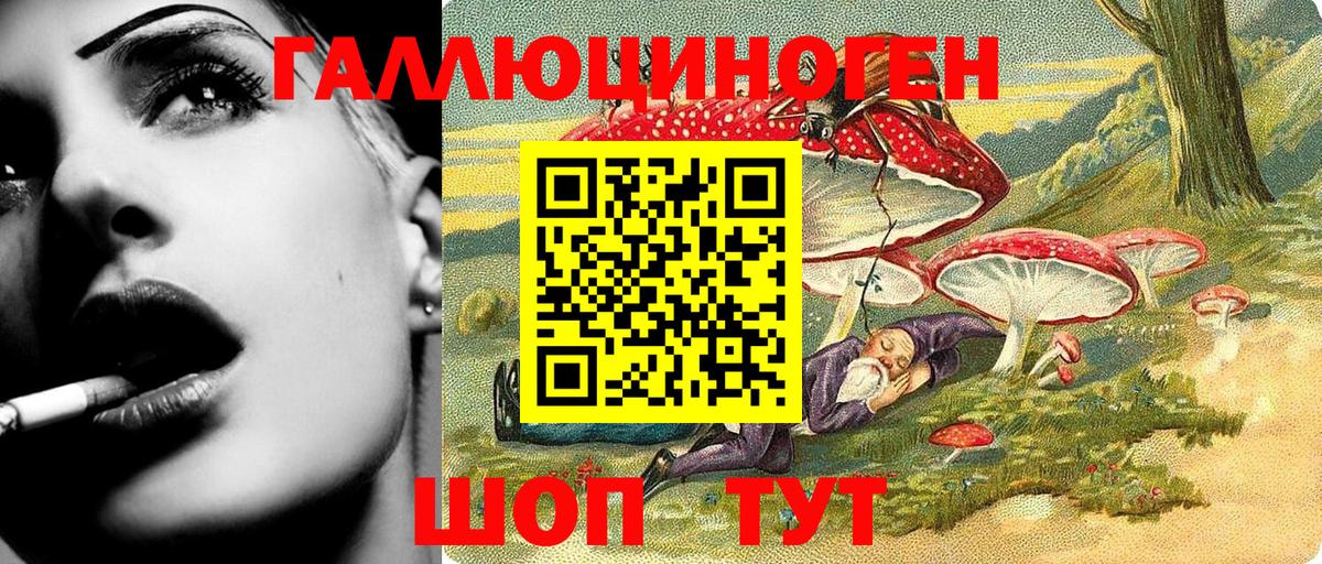 где купить   Вход с VPN  Биробиджан  Псилоцибиновые грибы Magic Shrooms 