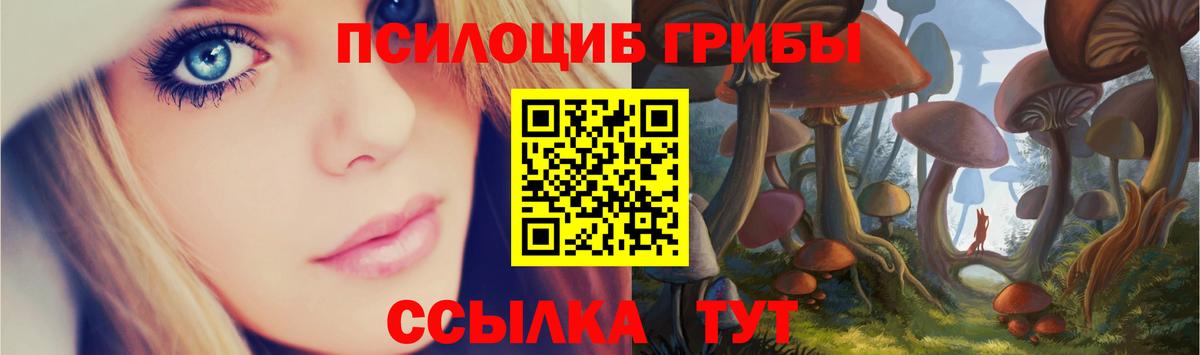 Псилоцибиновые грибы прущие грибы Биробиджан